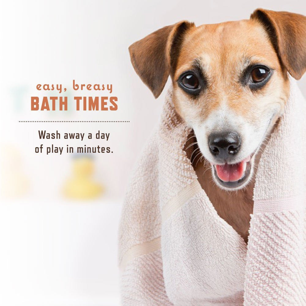 Shine Conditioning Shampoo