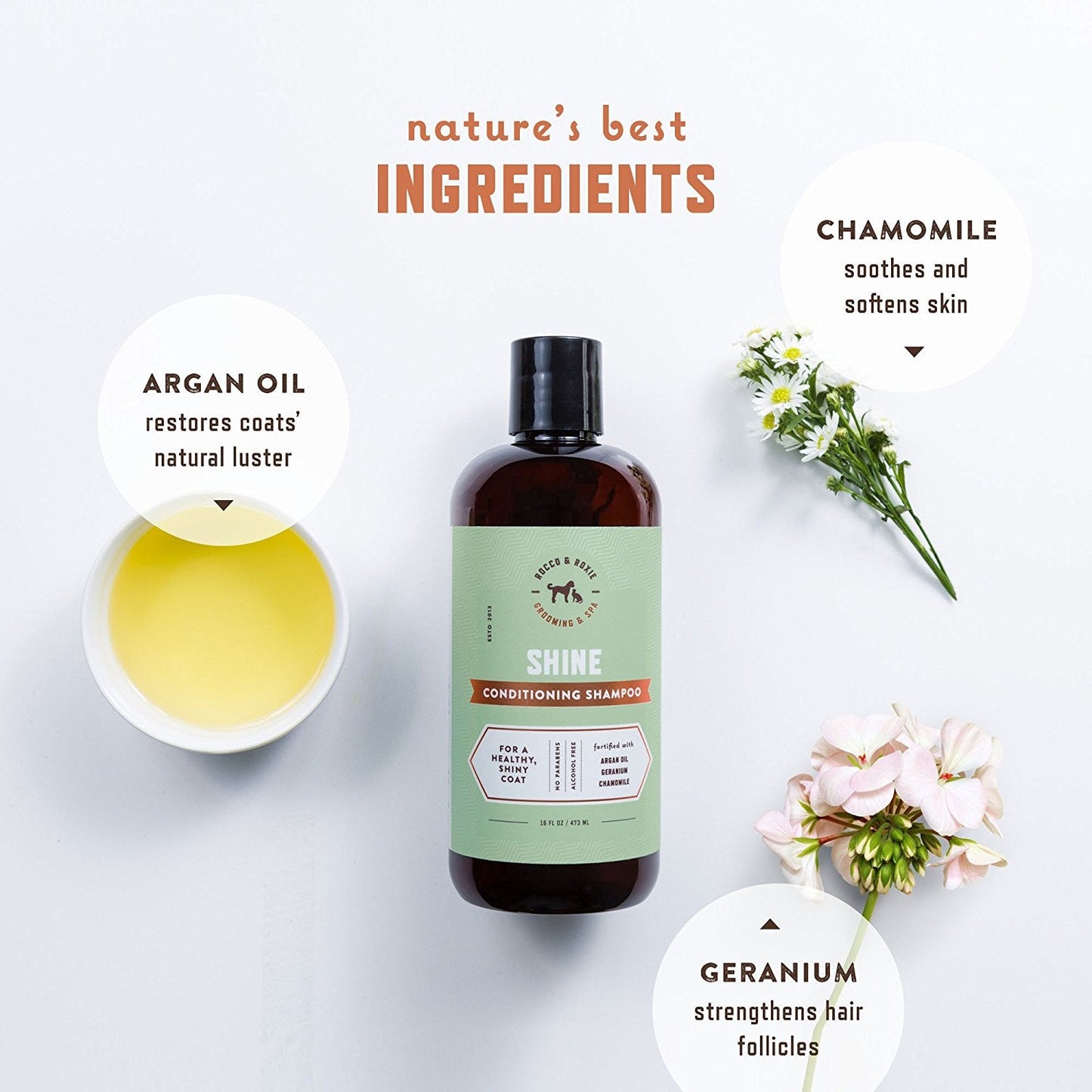 Shine Conditioning Shampoo