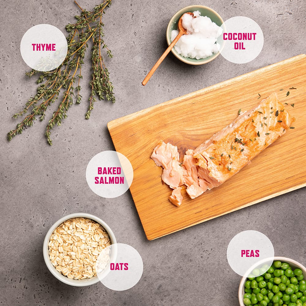 Baked Salmon with Peas & Thyme Dog Biscuits