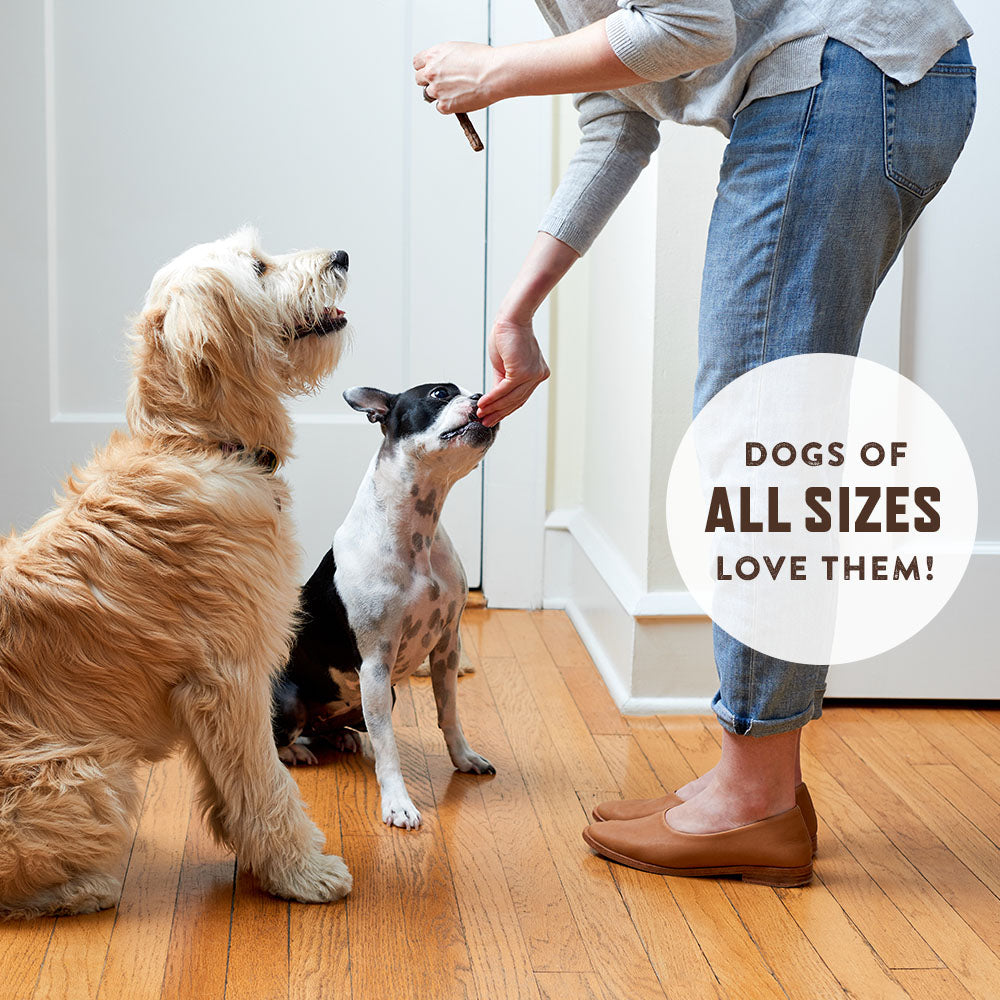 Jerky Dog Treats - Made In USA Only - Choose From Beef, Chicken or Turkey