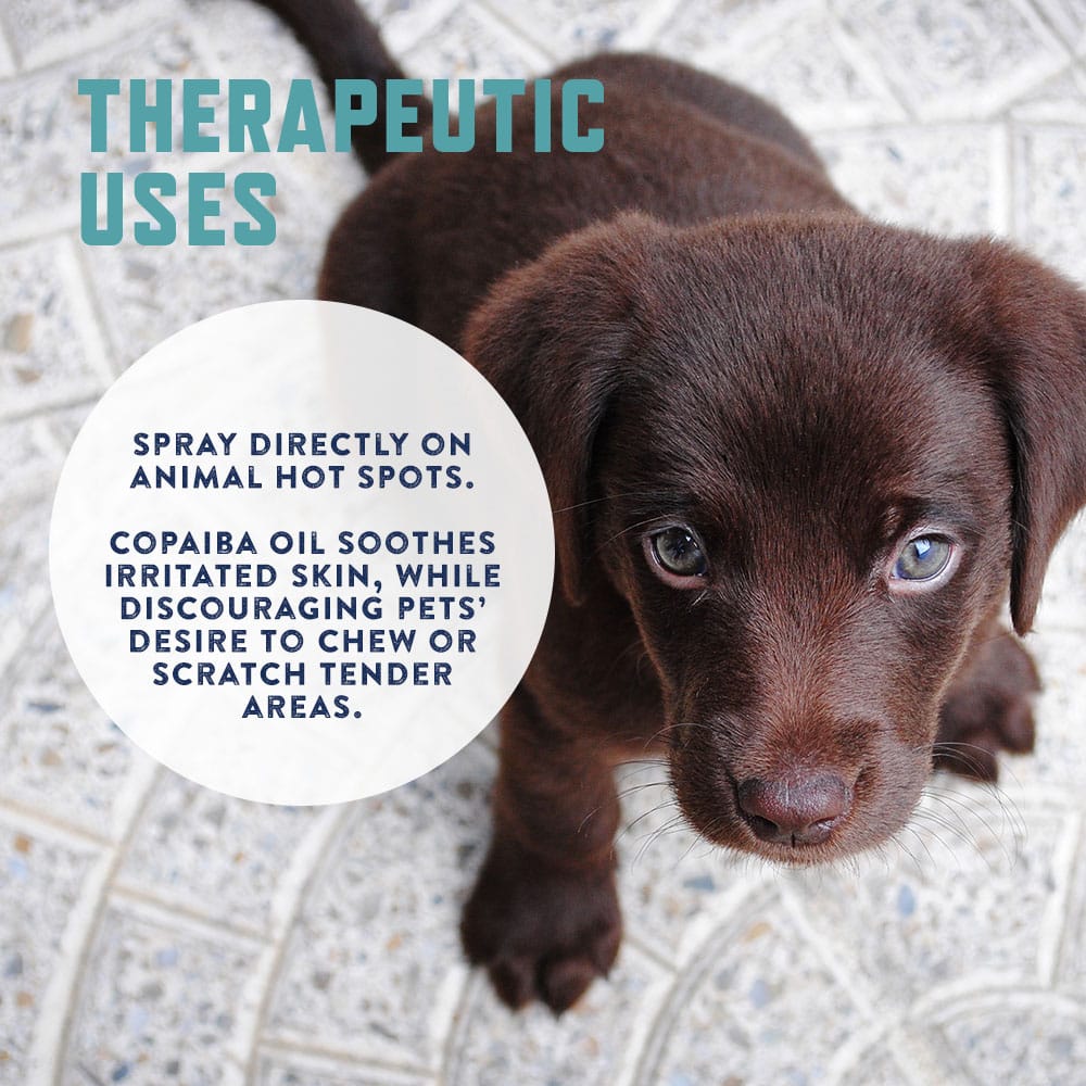 No Chew Extreme Bitter Spray