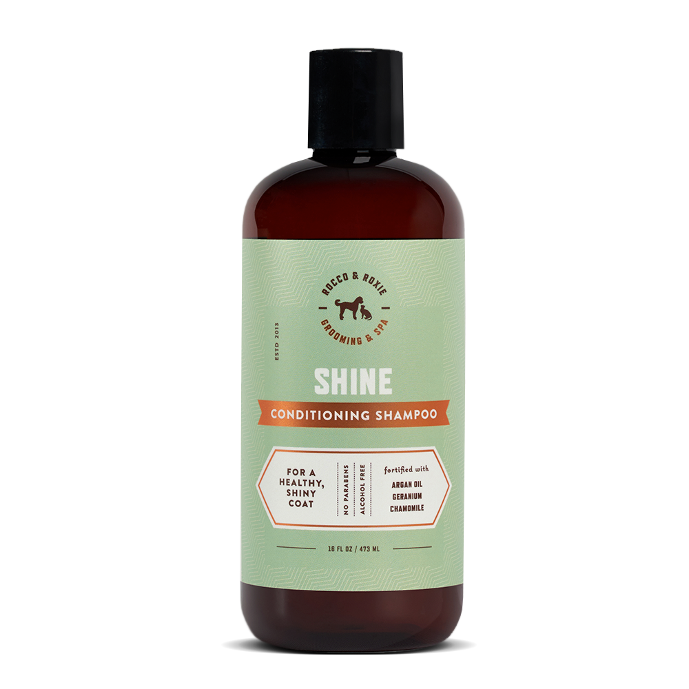 Shine Conditioning Shampoo