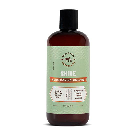 Shine Conditioning Shampoo
