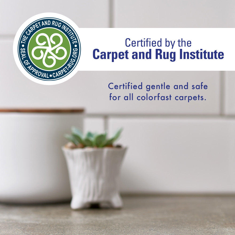 Pro Strength Stain & Odor Eliminator - Enzyme-Powered Pet Odor & Stain Remover for Dog and Cat Urine