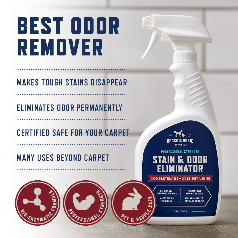 Pro Strength Stain & Odor Eliminator - Enzyme-Powered Pet Odor & Stain Remover for Dog and Cat Urine