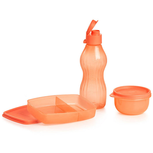 Side-by-Side Lunch Set (Cosy Rosy)