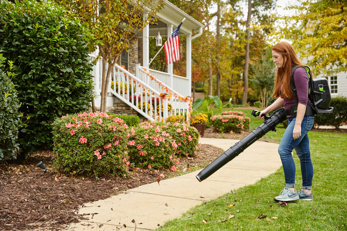 80V 690 CFM Cordless Battery Dual-Port Backpack Blower w/ Two (2) 4.0 Ah Batteries & Dual Port Rapid Charger