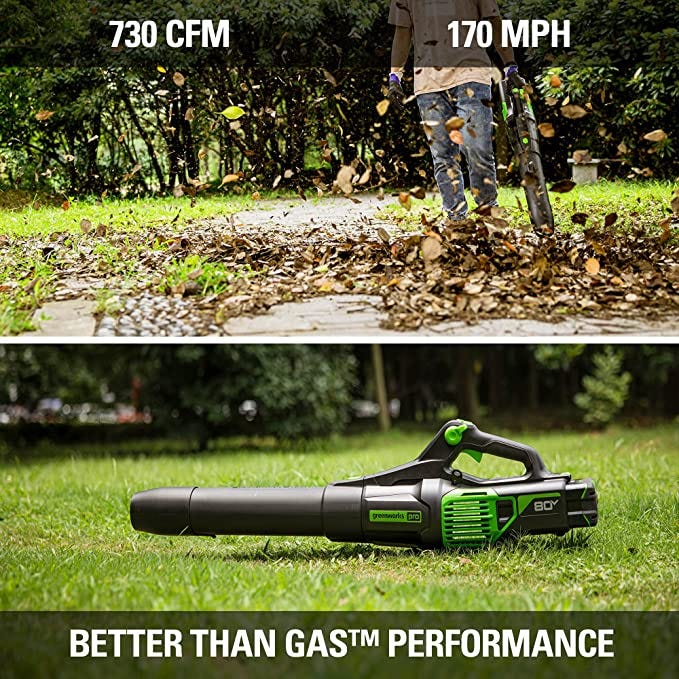 80V 730 CFM Cordless Battery Leaf Blower (Tool Only)